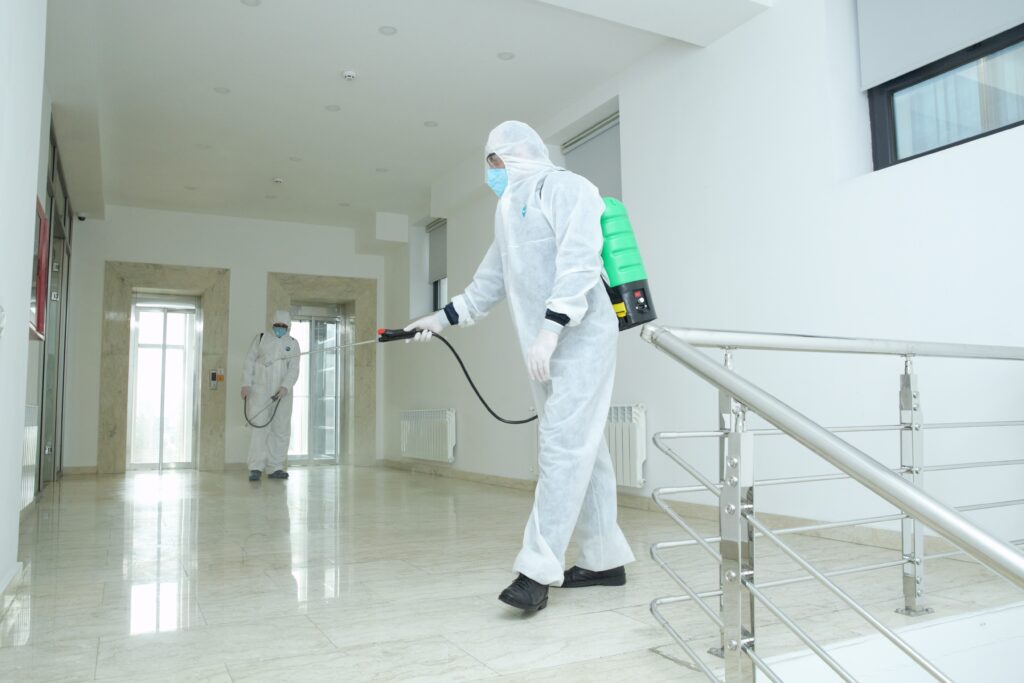 Mold Removal and Remediation